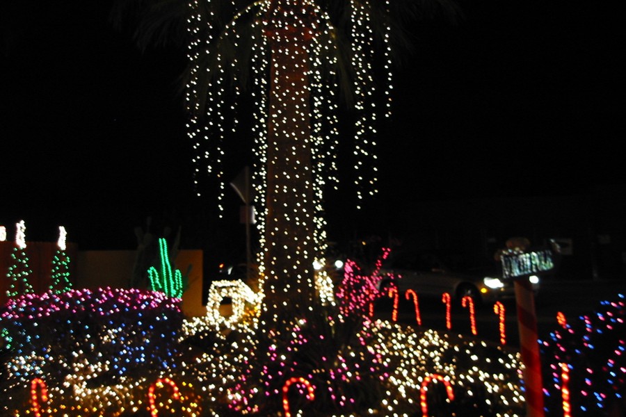 ../image/the crazy christmas house 3.jpg